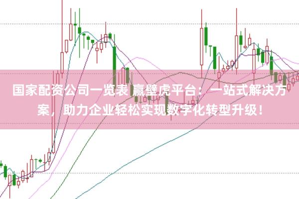 国家配资公司一览表 赢壁虎平台：一站式解决方案，助力企业轻松实现数字化转型升级！