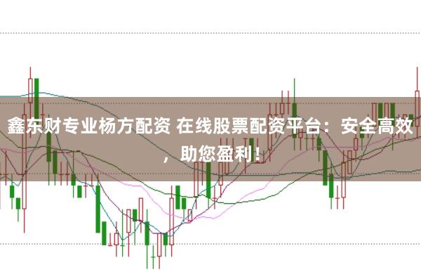 鑫东财专业杨方配资 在线股票配资平台：安全高效，助您盈利！