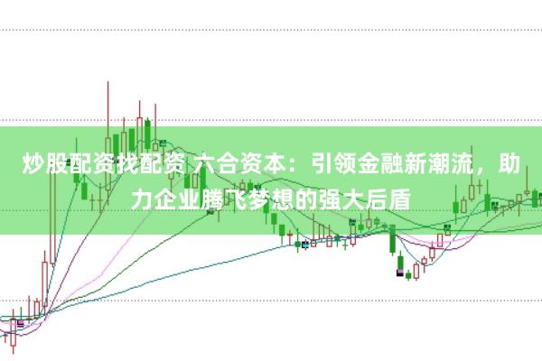 炒股配资找配资 六合资本：引领金融新潮流，助力企业腾飞梦想的强大后盾