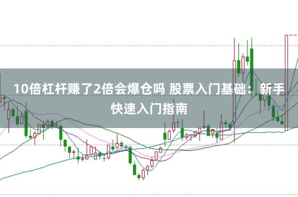 10倍杠杆赚了2倍会爆仓吗 股票入门基础：新手快速入门指南