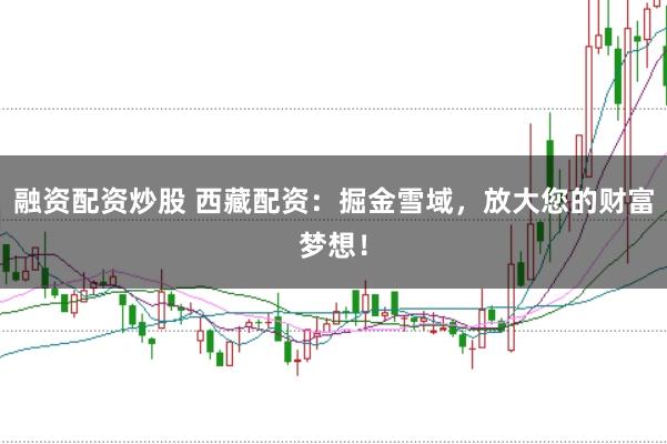 融资配资炒股 西藏配资：掘金雪域，放大您的财富梦想！