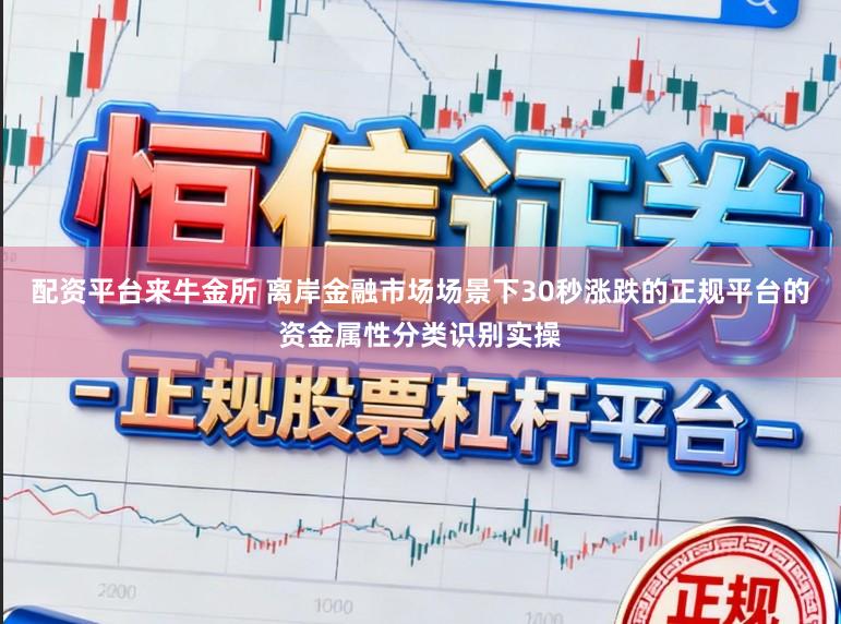 配资平台来牛金所 离岸金融市场场景下30秒涨跌的正规平台的资金属性分类识别实操