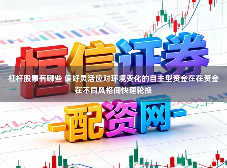 杠杆股票有哪些 偏好灵活应对环境变化的自主型资金在在资金在不同风格间快速轮换