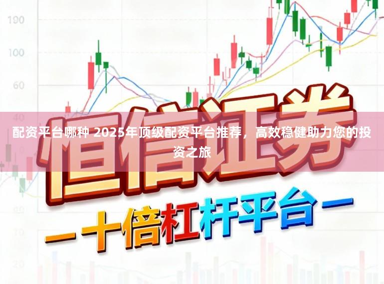 配资平台哪种 2025年顶级配资平台推荐，高效稳健助力您的投资之旅